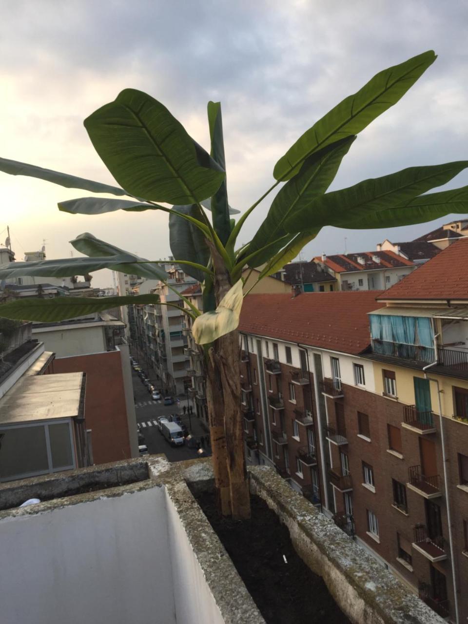 Appartement Attico Lux